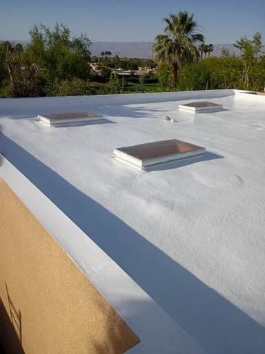 Finished silicone elastomeric coating with skylights