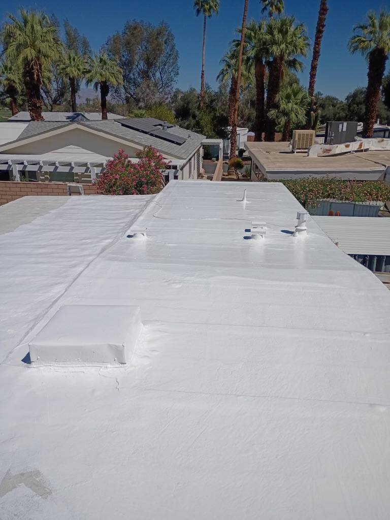 Wide view of a finished white reflective roof with palm tree backdrop