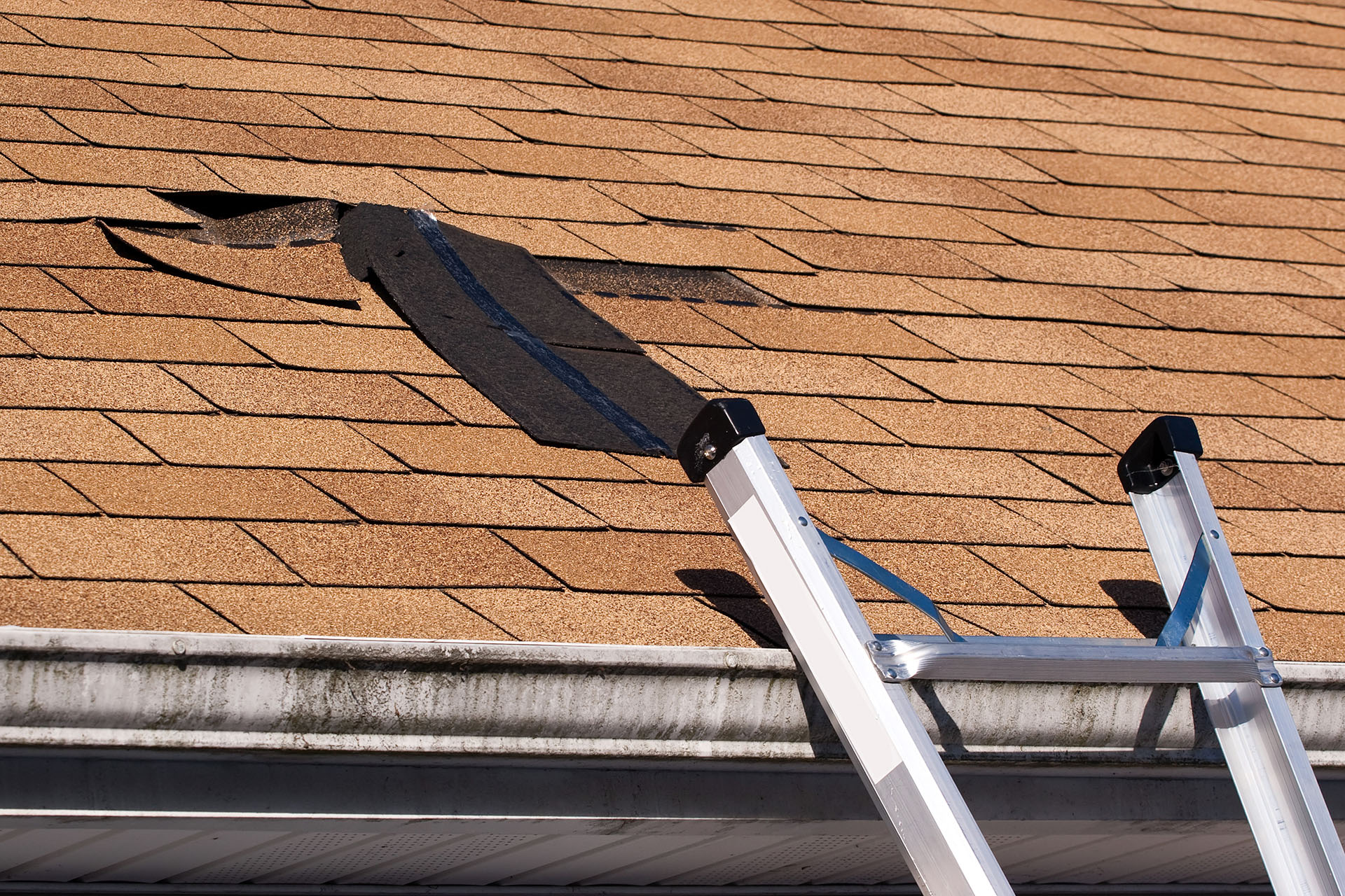 Roof Leak Specialist